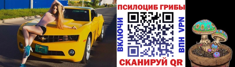кракен маркетплейс Минеральные Воды Псилоцибиновые грибы мухоморы