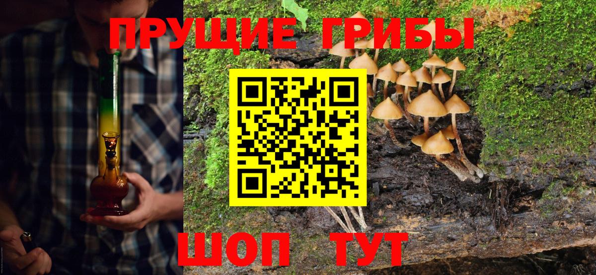 Галлюциногенные грибы прущие грибы  Галлюциногенные грибы MAGIC MUSHROOMS  Минеральные Воды  Вход с VPN 
